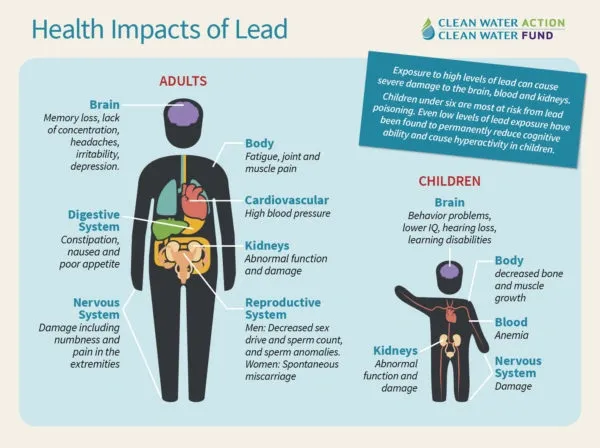 A chart showing the health impacts of lead.