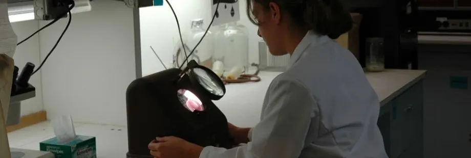 A woman in white lab coat looking at a light.