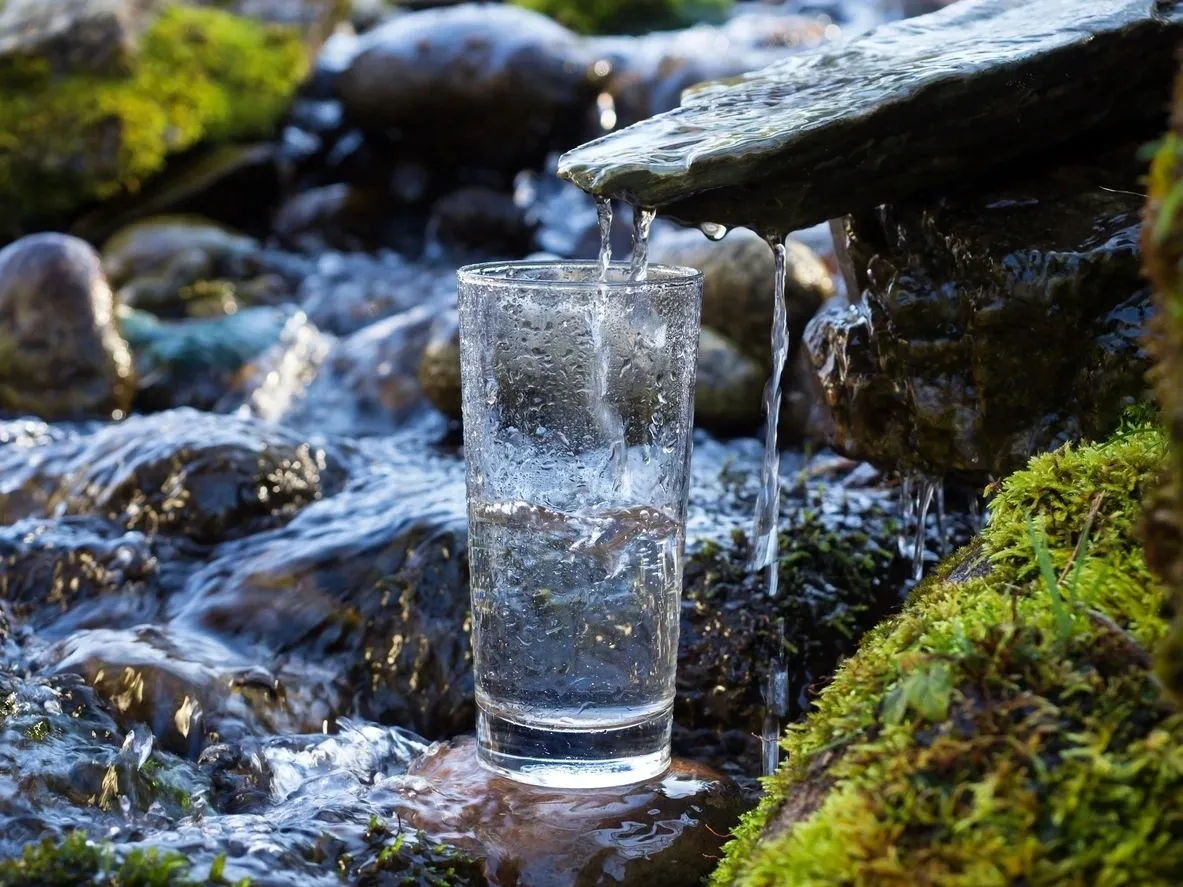 A glass of water is sitting in the middle of some rocks.